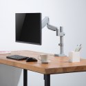 Uchwyt biurkowy do monitora szary Ergo Office, ze sprężyną, 17"-32", 9 kg, ER-407G Ergo Office