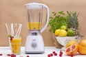 Blender kielichowy Adler