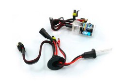 01418 HID Żarnik H1 8000K xenonowy AMiO