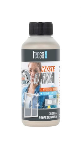 Koncentrat do mycia szyb 100ml Teesa