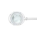 Lampa z lupą na stół 5D 6W Rebel (30x2835 SMD) Rebel