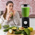 Blender kielichowy 800W BD-751 Berdsen czarny Berdsen