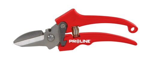 Sekator do kwiatów premium, inox, 8", proline Proline