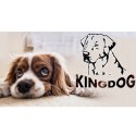 Legowisko dla psa 130 x 105Czarne KingDog AIO