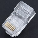 RJ1A Końcówka rj45 (100szt.) ATL