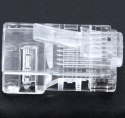 RJ1A Końcówka rj45 (100szt.) ATL