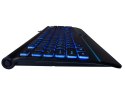 Klawiatura TRACER OFIS PRO USB (Blue lightening) TRACER