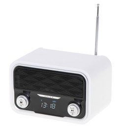 Radio Bluetooth Adler