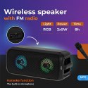 AD 1903 Głośnik bluetooth z radiem / funkcja karaoke ADLER